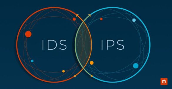 IDS vs. IPS Key Differences and Their Role in Network Security