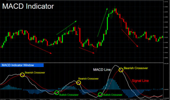What is the MACD Indicator in Trading