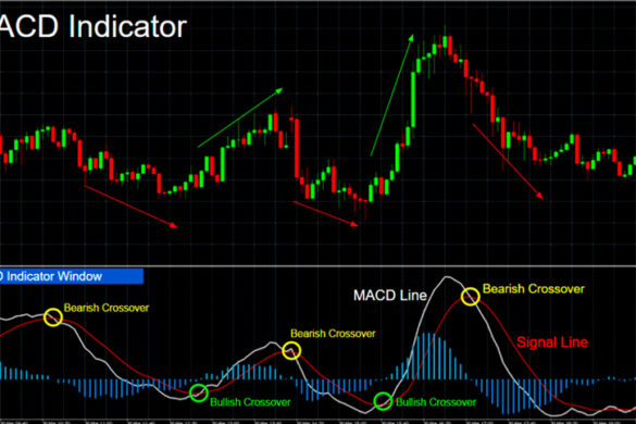 What is the MACD Indicator in Trading? How to Use It to Predict Market Trends?