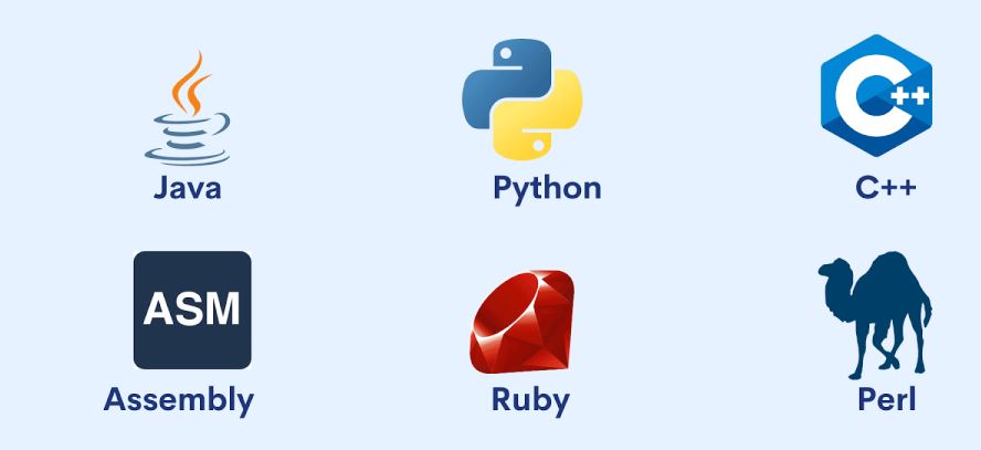 best programming language for cybersecurity