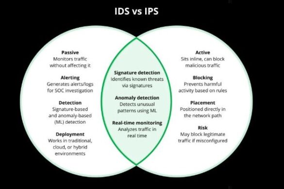 The Difference Between IDS and IPS in Cybersecurity