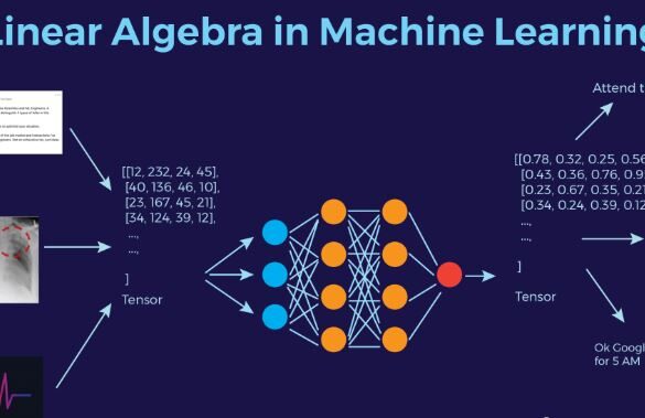 Explaining the “Black Box”: How to Describe Complex Machine Learning Models to Anyone