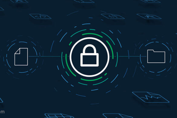 How Organizations Can Comply with Data Protection Regulations