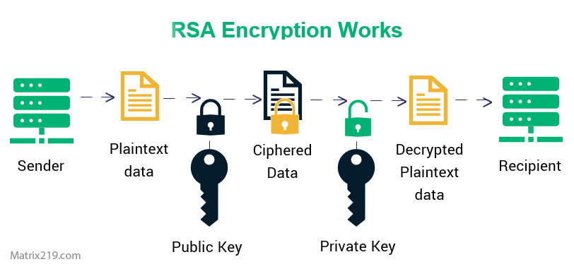 Best File Encryption and Decryption Software in 2026